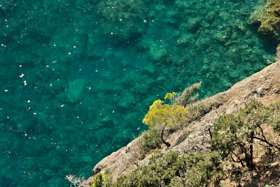 High angle view of rocks by sea