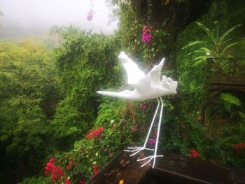 View of a bird flying against the sky