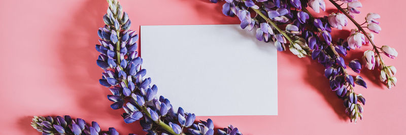 Close-up of purple flowering plants on table