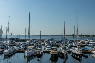 Sailboats moored in harbor