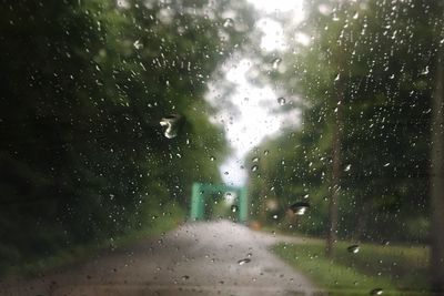 Rain drops on glass window