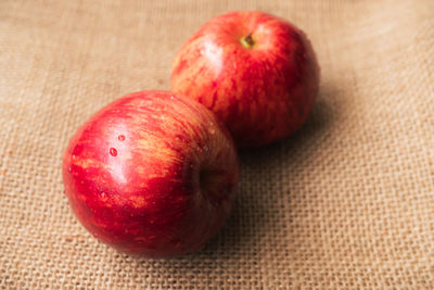 High angle view of onions on table