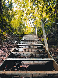 Low angle view of staircase in forest