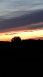 Silhouette trees against sky during sunset