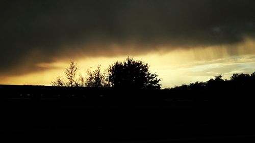 Silhouette trees against sky during sunset