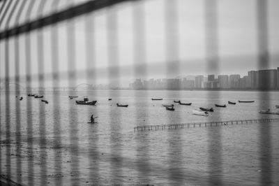 Close-up of birds in water