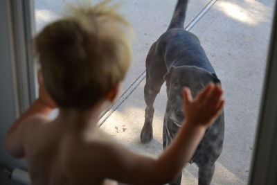 Rear view of boy looking at dog through window