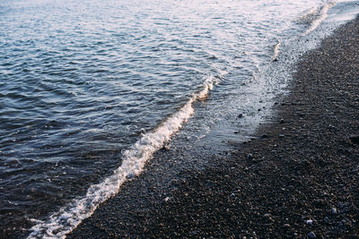 Seashore with pebbles and stones in the evening at sunset