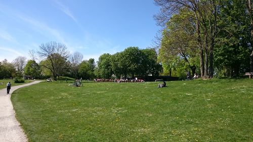 People relaxing in park