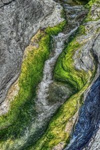 Rocks in water