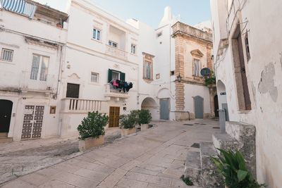 Potted plants on alley amidst buildings in city