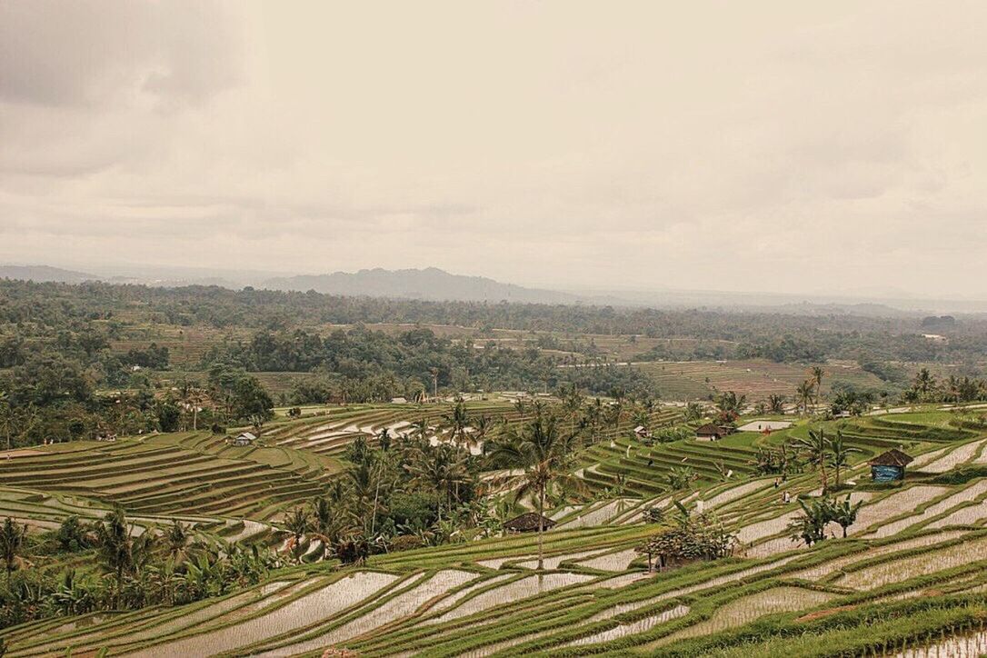 HIGH ANGLE VIEW OF MOUNTAIN RANGE