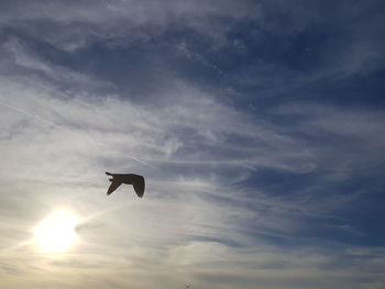 Low angle view of silhouette bird flying against sky