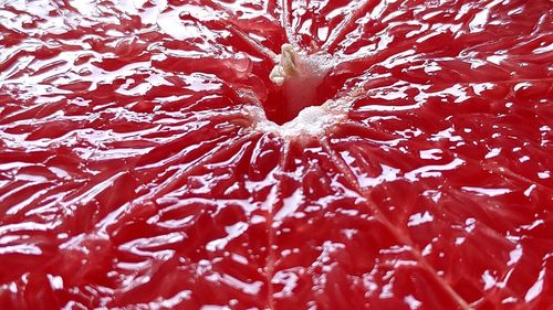 Full frame shot of red berries