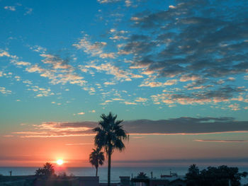 Silhouette palm trees on beach against sky during sunset