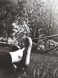 Low section of woman sitting on grass