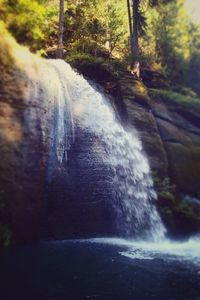 Scenic view of waterfall in forest
