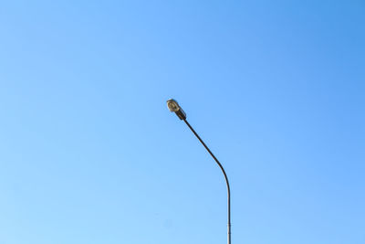 Low angle view of bird perching on street light