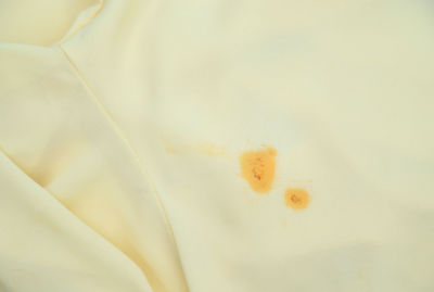 Detail shot of white flower