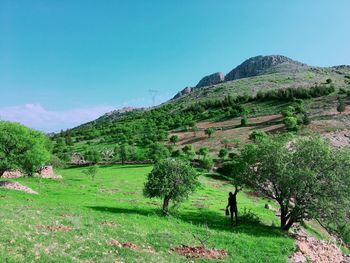 Scenic view of field against sky