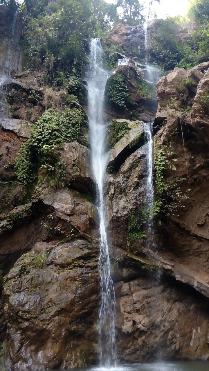 VIEW OF WATERFALL IN FOREST