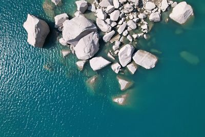 High angle view of leaf floating on water