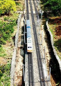 High angle view of railroad tracks amidst trees