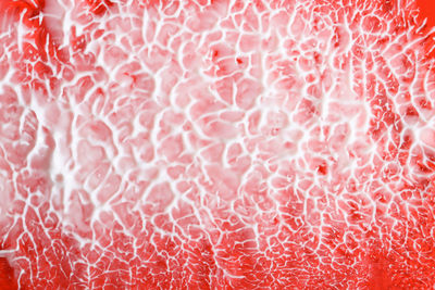 Creamy texture on a red background, top view. white cosmetic strokes and smears of different size