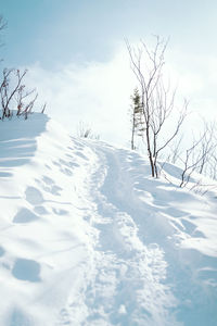 Bare tree on snow covered field against sky