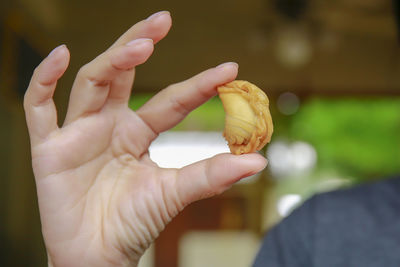 Close-up of hand holding apple