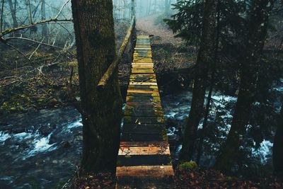 Scenic view of lake in forest