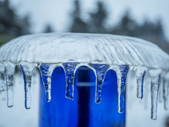 Close-up of icicles