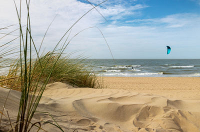 Scenic view of beach against sky