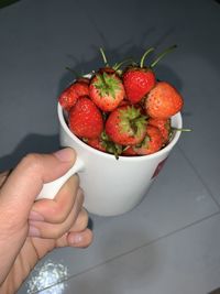 Midsection of person holding strawberries in bowl