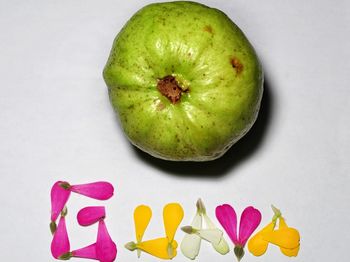 High angle view of fruits on white background