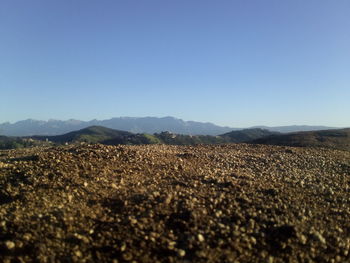 Scenic view of field against clear blue sky