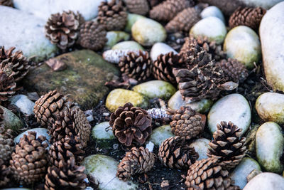 Full frame shot of pebbles