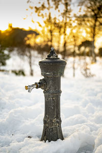 Close-up of snow