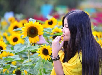 Close-up of sunflowers blooming outdoors