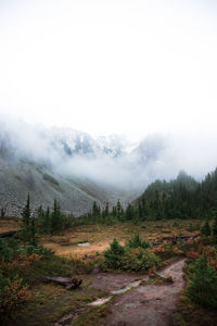 Scenic view of landscape against sky