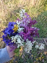 Close-up of hand holding purple flowers