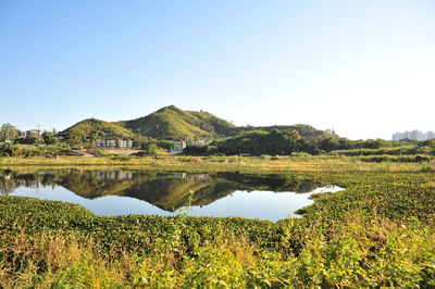 Scenic view of lake against clear sky