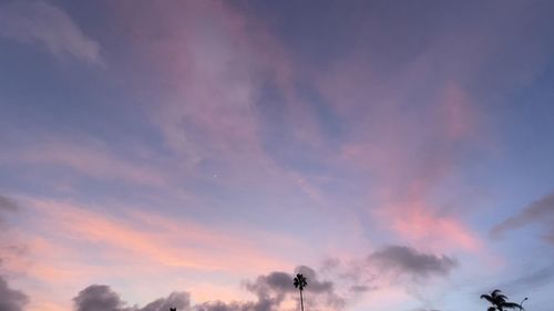 Low angle view of silhouette trees against sky during sunset