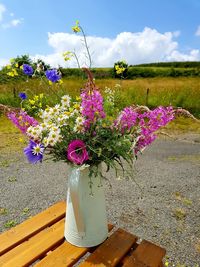 Close-up of pink flowering plant in vase on field