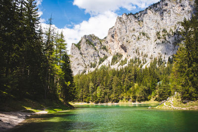 Scenic view of lake in forest against sky