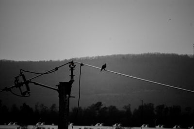 Birds perching on power line against sky