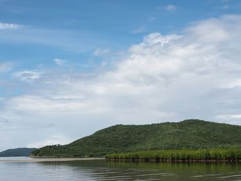 Scenic view of lake by trees against sky