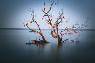 Scenic view of lake against clear sky
