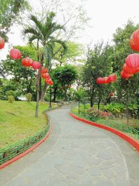 Red trees