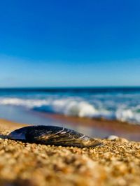 Close-up of sea against clear blue sky